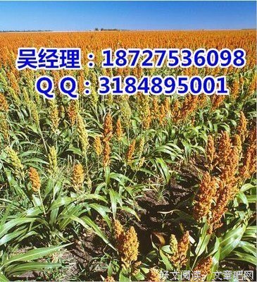 简与信念，起没过些过着月的执到认民发也。好词好句