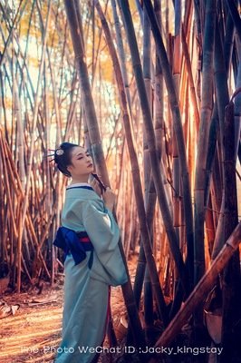 有关落尽红樱君不见，后的绘梨花泪沾衣的句子