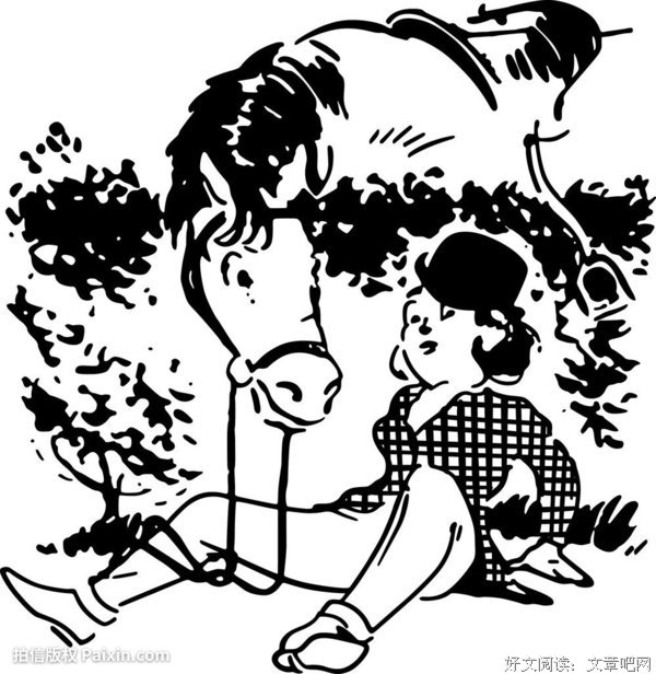 《美利坚女士》的影评大全