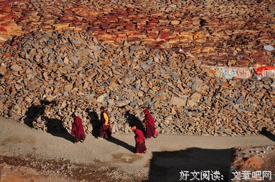 有关空尘的句子
