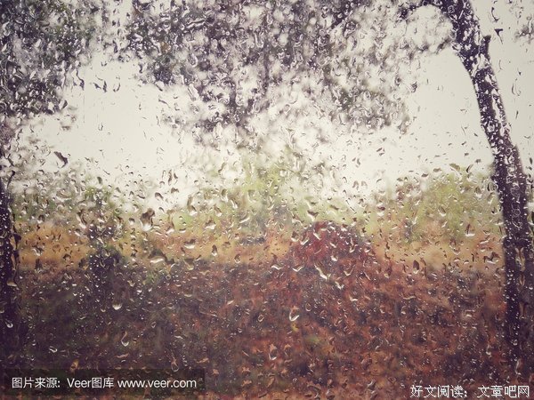 《费加罗的婚礼》影评100字