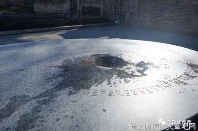 《林璎：强烈而清晰的洞察力》的影评大全