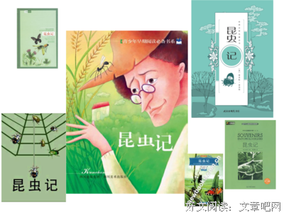 《这一世，我们是彼此的光阴》读后感100字