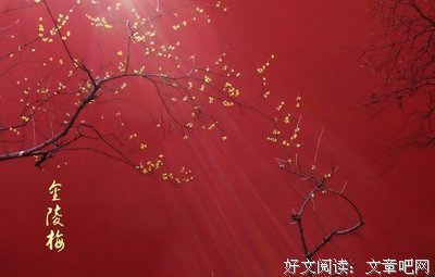 关于凌雪伤的名言