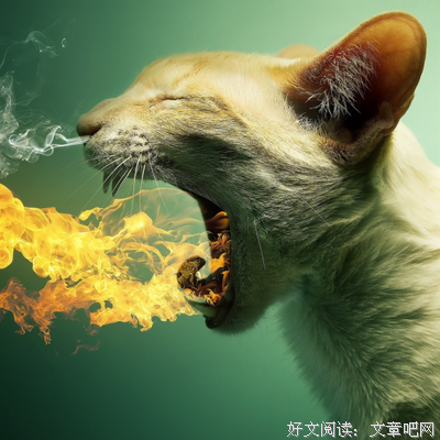 关于凡夫俗子的格言