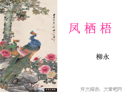 凤栖梧桐格言警句