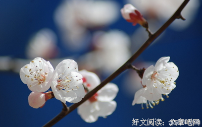 有关...青的句子
