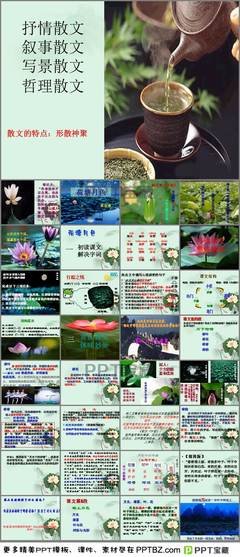 句子赏析