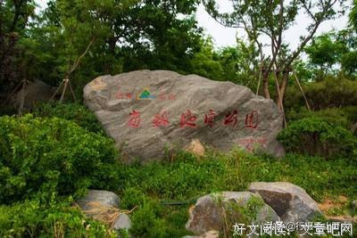 关于一夕烟雨名言大全