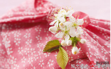 最全的《君九龄》语录摘抄大全