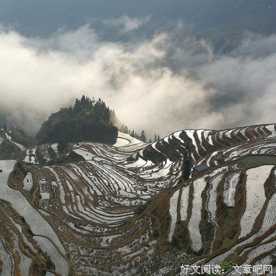 独酌好词好句