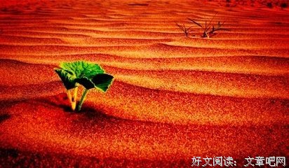 关于人性的句子