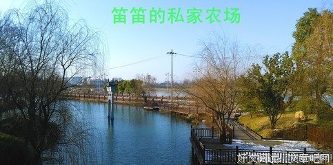 关于心的栖息的句子