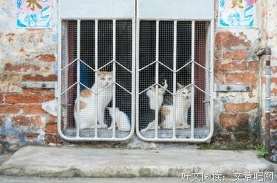 微信经典名句