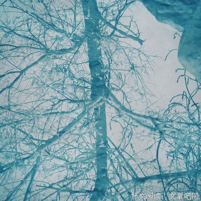 关于fresh果果的优美句子