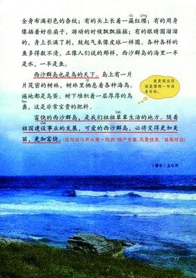 有关就会上小堂鸟飞过就会上小堂的句子