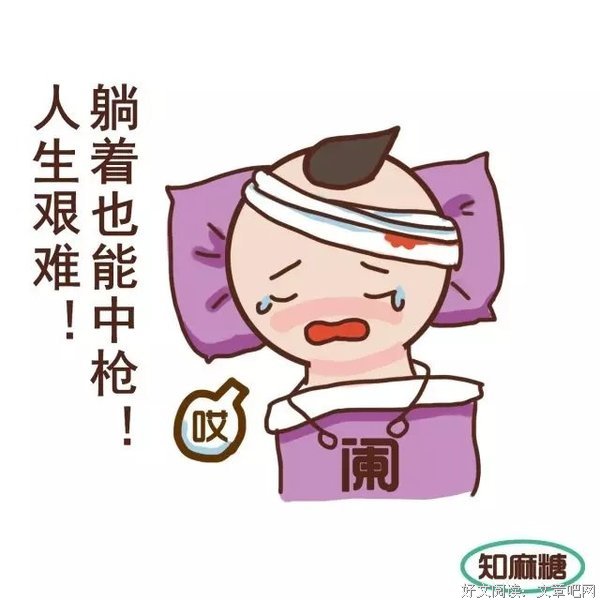 肺炎疫情下，一只宠物猫的自白