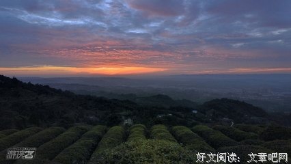 关于上里妈的名言