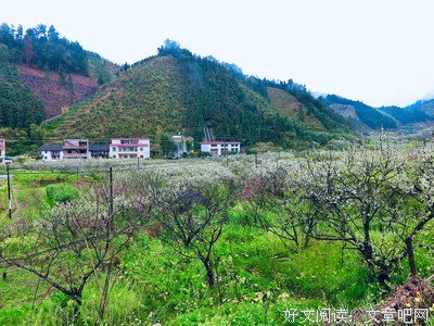 关于九峰的座右铭
