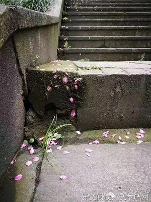 任他年的句子