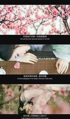 《古风-》的句子
