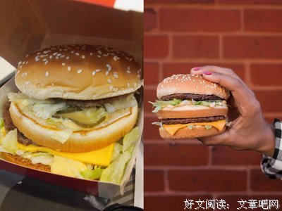 有关收藏的句子
