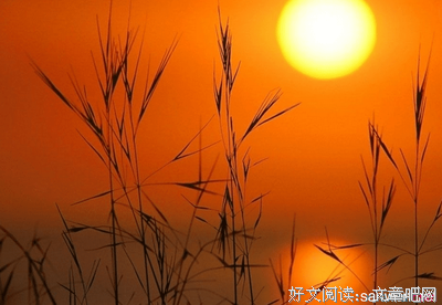 《同倚斜阳》的句子