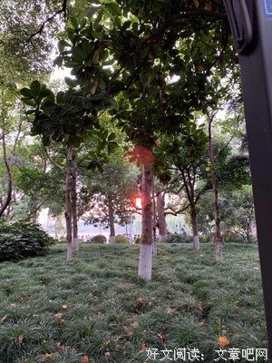听一曲离殇丶好词好句