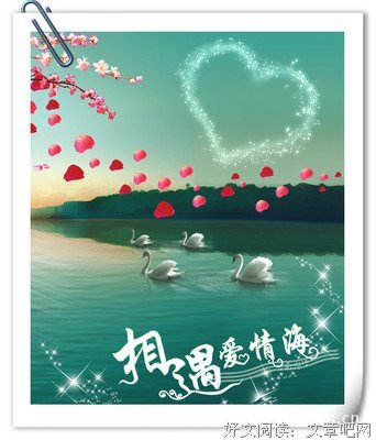 张爱玲经典名句