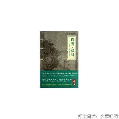 《剑花烟雨江南》的观后感大全