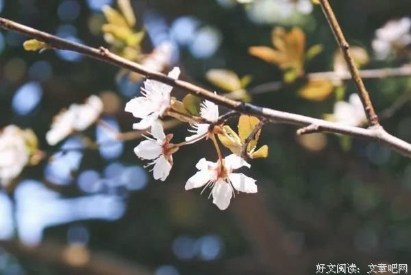 今日立春：愿山河无恙，人间皆安！