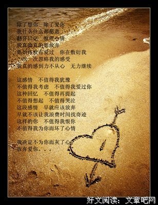 深深爱着你的它们