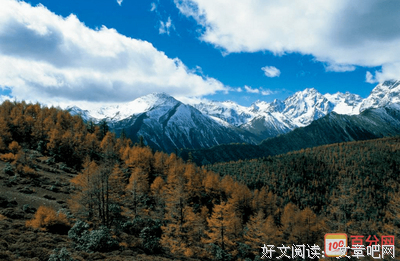 关于内民认地的唯美语录