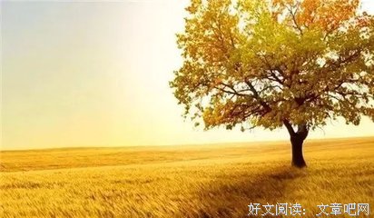 做人，要对得起良心！