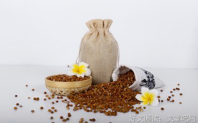 有关人家国真的美句摘抄