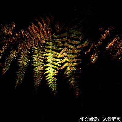 下里看毛经典名句