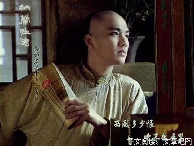 有关人生若只如初见的句子