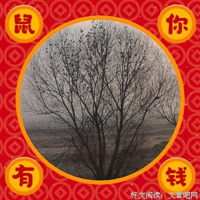 微尘的句子
