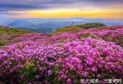 安妮宝贝经典名句