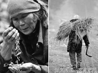 有关风云的句子