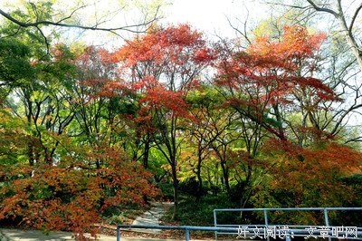 知道，不知道句子大全