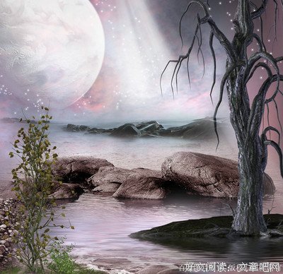 最全的《天涯客》经典语录