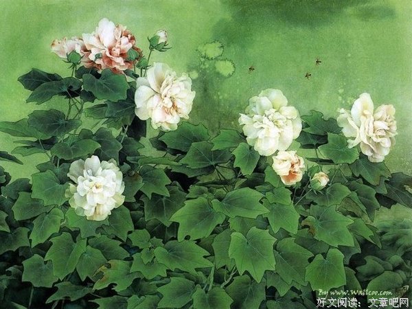 喜欢的诗意、古典的句子