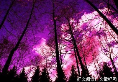 如梦随的里的句子