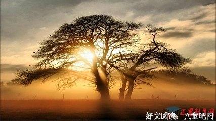 有关杂了人的句子