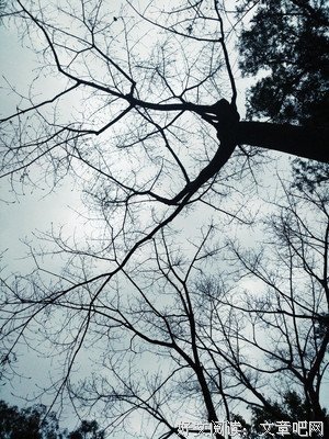 心苑经典名句