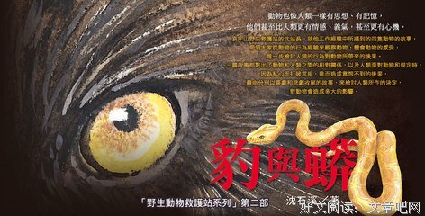 玻璃鸟不会归来读后感1000字