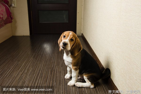 中比格的名句_关于中比格的名句