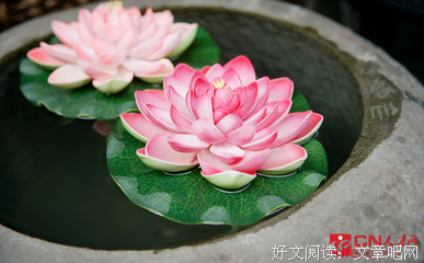 关于出门在外的语句