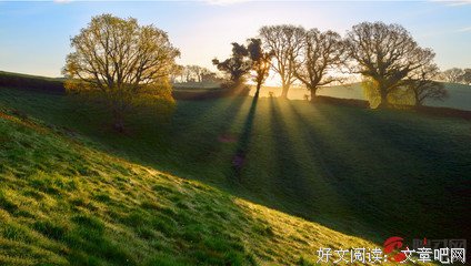 《晨光》的句子